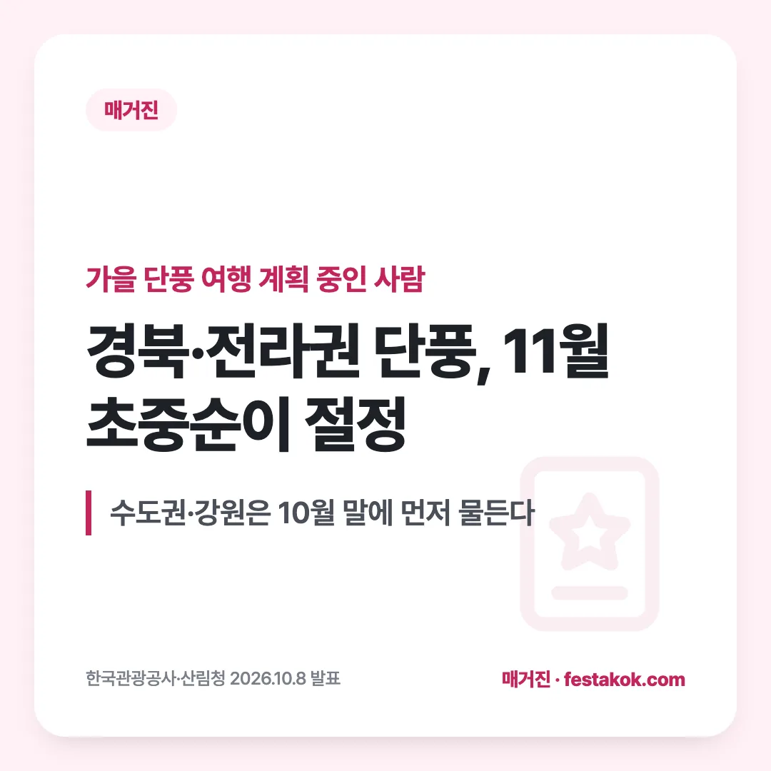 가을 단풍 여행 계획 중인 사람 — 경북·전라권 단풍, 11월 초중순이 절정. 수도권·강원은 10월 말에 먼저 물든다